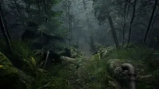 Скриншот 2 к игре Whispers in the fog