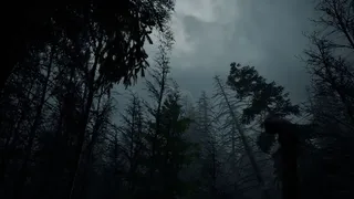 Скриншот 4 к игре Whispers in the fog