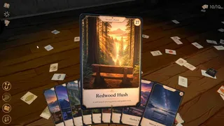 Скриншот 8 к игре Cards Everywhere!
