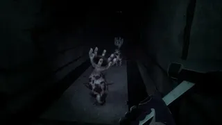 Скриншот 6 к игре Laica Лайка