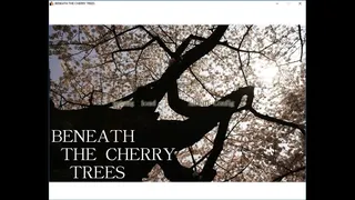 Скриншот 5 к игре Beneath The Cherry Trees