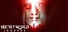 Secret World