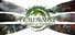 Guild Wars 2