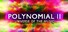 Polynomial 2
