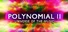 Polynomial 2