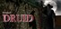 Project Druid - 2D Labyrinth Explorer-