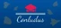 Conludus