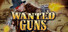 Wanted Guns