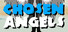 Chosen Angels