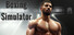 Boxing Simulator