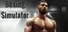 Boxing Simulator