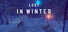 Lost In Winter