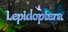 Lepidoptera