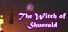 The Wizard Arena