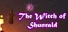 The Wizard Arena