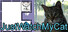 JustWatchMyCat