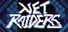 Net Raiders - Demo