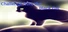 黒猫からの挑戦状