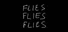 FLIES FLIES FLIES