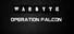 Warbyte: Operation Falcon