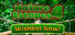 Nature Escapes 4