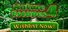 Nature Escapes 4