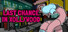 Last Chance in Xollywood