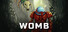 Womb