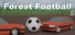 Forest Football