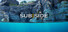 Subside