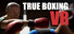 True Boxing VR