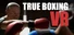 True Boxing VR
