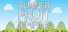 Runner Fruit Jumping