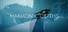 Harmonic Depths