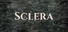 Sclera