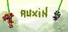 Auxin