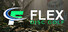 FLEX Disc Golf