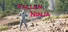 Fallen Ninja