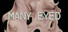 Many Eyed