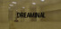 Dreaminal: The Backrooms Incident
