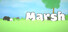Marsh