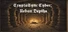 CryptaSync Cyber: Urban Depths