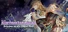Mercenaries Lament: Requiem of the Silver Wolf