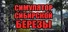 СИМУЛЯТОР СИБИРСКОЙ БЕРЕЗЫ