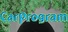 Carprogram