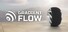 Gradient Flow