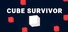 Cube Survivor