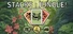 Stacks:Jungle!