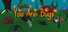 You Are Bugs
