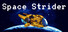 Space Strider